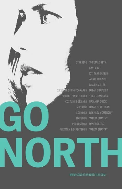Постер Go North