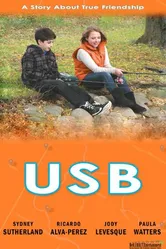 USB 2014 постер
