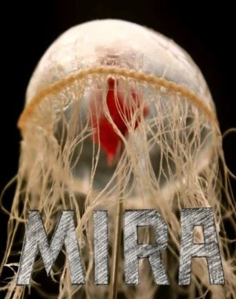Постер Mira 2018