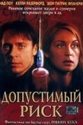 Допустимый риск 2001 постер