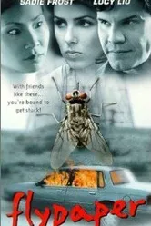 Мухоловка 1997 постер