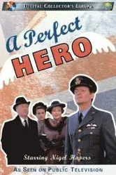 Идеальный герой 1991 постер
