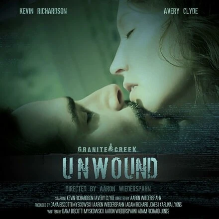 Постер Unwound 2011