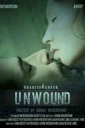 Unwound 2011 постер