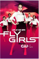 Fly Girls 2010 постер