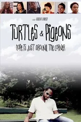 Turtles & Pigeons постер