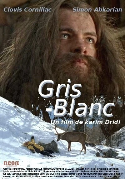 Постер Gris blanc
