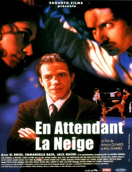Постер En attendant la neige