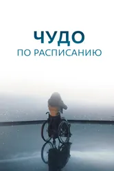 Чудо по расписанию 2016 постер