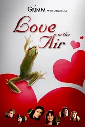 Grimm: Love Is in the Air постер