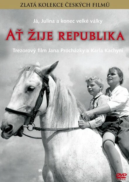Постер Да здравствует республика! 1965