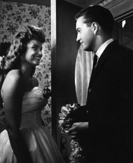 Постер Дневник подростка 1960