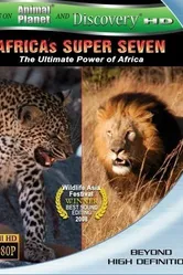 Великолепная семерка Африки 2005 постер