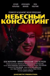 Небесный консалтинг 2024 постер