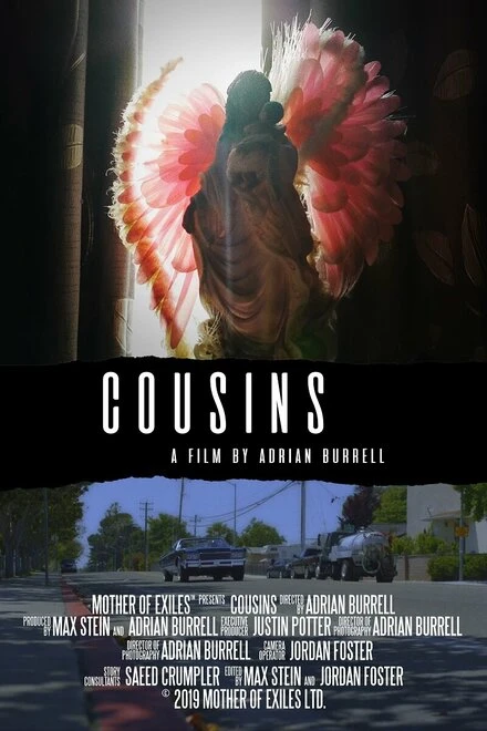 Постер Cousins 2019