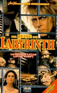 Постер Inside the Labyrinth