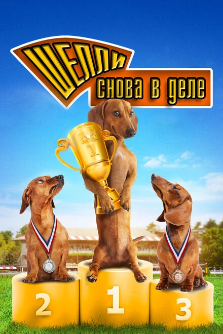 Постер Шелли снова в деле: Часть 1 2013