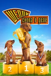 Шелли снова в деле: Часть 1 2013 постер