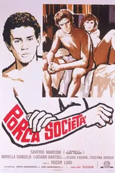 Свинское общество 1978 постер