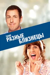 Такие разные близнецы 2011 постер