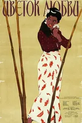 Цветок любви 1956 постер