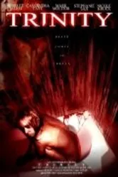 Trinity 2008, США постер
