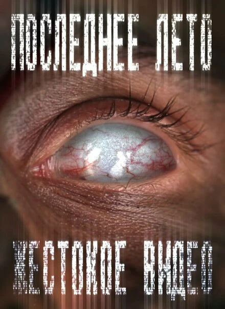 Постер Последнее лето 3: Жестокое видео 2012