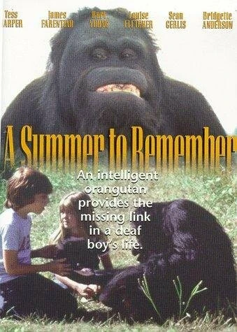 Постер A Summer to Remember 1985