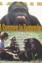 A Summer to Remember 1985 постер