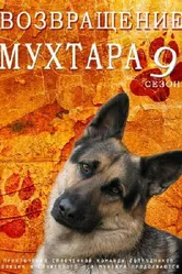 Возвращение Мухтара 9 2013 постер