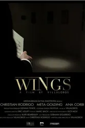 Wings 2013 постер