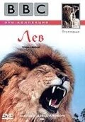 Постер BBC: Лев 2000