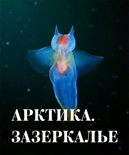 Постер Арктика. Зазеркалье 2017