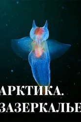 Арктика. Зазеркалье 2017 постер