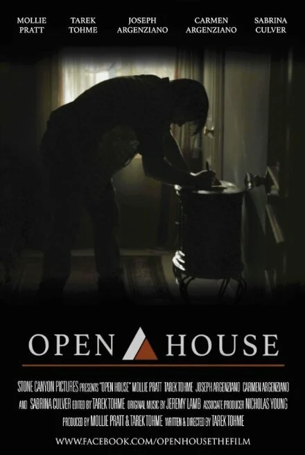 Постер Open House 2014, США