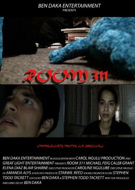 Постер Room 311