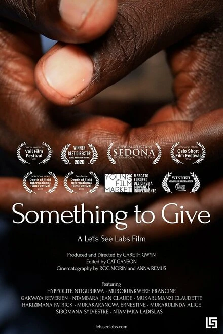 Постер Something to Give 2020