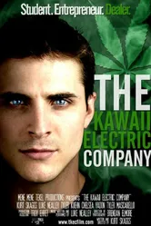 The Kawaii Electric Company постер