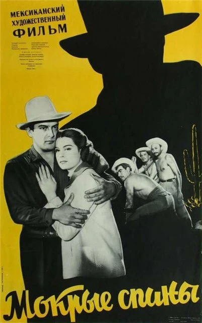 Постер Мокрые спины 1955