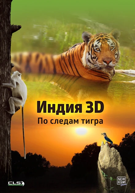 Постер Индия 3D: По следам тигра 2014