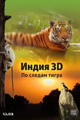 Индия 3D: По следам тигра 2014 постер