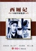 Постер Роман западной палаты 1927