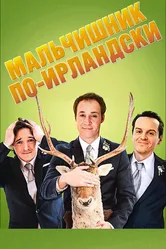 Мальчишник по-ирландски 2013 постер