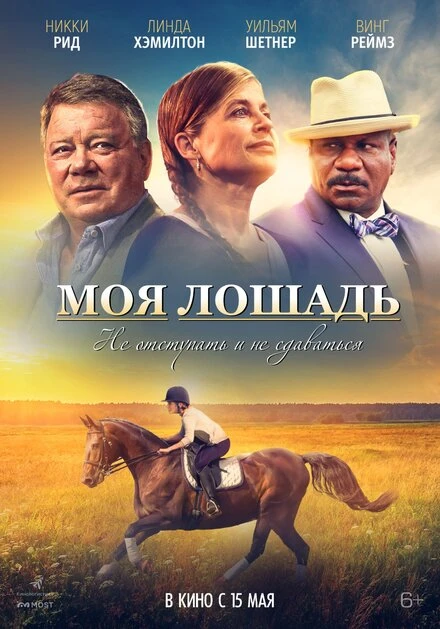Постер Моя лошадь 2016