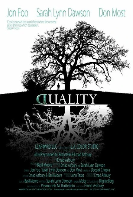 Постер Duality 2015