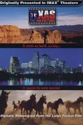 Texas: The Big Picture постер