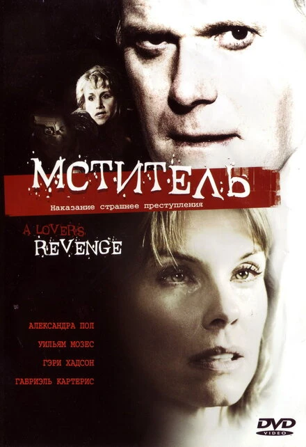 Постер Мститель 2005