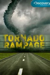 Неистовый торнадо 2011 постер