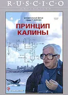 Принцип Калины 2003 постер