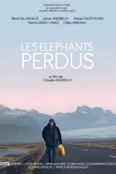 Les éléphants perdus постер